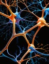 Neuronal Synapse Detail