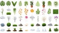 Collection of various plants and trees elements for design Royalty Free Stock Photo