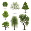 Diverse illustrations of stylized trees in various shapes and foliage densities Royalty Free Stock Photo