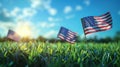 American Pride: Memorial Day Flags Adorn Grassy Background Royalty Free Stock Photo