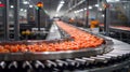 Frozen Food Processing Line on Conveyor Belt for Efficient Production