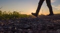 Walking at Sunset on a Rural Path Royalty Free Stock Photo