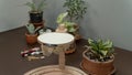 Embroidery Stand Hoop, craft and needlework with plants around it