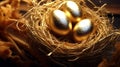 Golden eggs in a nest, wealth money finance