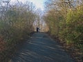 The Serene and Scenic Winding Journey Up the Hill with a Bicycle