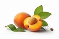 Ai Generative Ripe apricots with leaves isolated on a white background Royalty Free Stock Photo