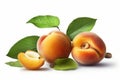 Ai Generative Ripe apricots with leaves isolated on a white background Royalty Free Stock Photo