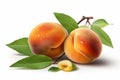 Ai Generative Ripe apricots with leaves isolated on a white background Royalty Free Stock Photo