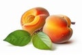 Ai Generative Ripe apricots with leaves isolated on a white background Royalty Free Stock Photo