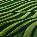 Rolling Green Hills With Dramatic Light And Shadow Patterns image photo Royalty Free Stock Photo