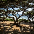 coastal trees framing ocean view - generated using ai Royalty Free Stock Photo