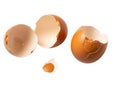 Broken eggshells on white background Royalty Free Stock Photo
