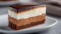 Decadent Triple Chocolate Mousse Cake Slice on a White Plate Display Royalty Free Stock Photo