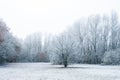 Whispering Winter Solitude Royalty Free Stock Photo