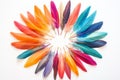 Vibrant Circular Feather Arrangement Royalty Free Stock Photo
