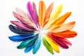 Vibrant Circular Feather Arrangement Royalty Free Stock Photo