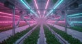 Automated vertical farming lit by synthwave neon Royalty Free Stock Photo