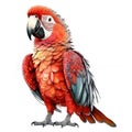 Parrot isolated on white background Royalty Free Stock Photo