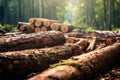 An image showcasing the aftermath of illegal logging, with tree stumps and destruction, highlighting the importance of sustainable Royalty Free Stock Photo