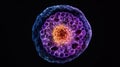 An image showcasing the nucleus of an animal cell with its distinct doublelayered nuclear membrane and prominent