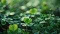 an image showing pictures of a green clover