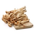 An image showing some oriental willow mushrooms, or brown tea tree mushrooms. Popularly used in chinese Royalty Free Stock Photo