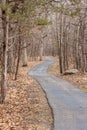 Paved walking trail winding through an autumn woodland Royalty Free Stock Photo