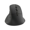 This is a black computer mouse with a sleek design and a scroll wheel Royalty Free Stock Photo