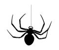 Hanging spider silhouette Royalty Free Stock Photo