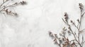 Delicate Frosted Plants on Marble Background