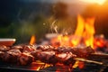 This image shows a close up of a grill with meat cooking on the hot grates, Day celebration with meat on the barbecue and blurry