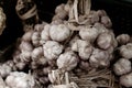 Close-up of a large bunch of garlic bulbs Royalty Free Stock Photo