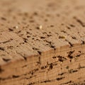 This image shows a close-up of a piece of cork material. The surface is textured with Royalty Free Stock Photo