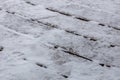 Partially thawed snow and ice covered wooden deck