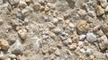 ## Textured Beachscape: Pebbles and Sand Intertwined Royalty Free Stock Photo