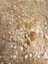 The image shows a close-up view of a sandy surface interspersed with small pebbles and stones of varying sizes and colors. Royalty Free Stock Photo