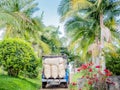 Coffee Truck on Coffee Farm in Colombia