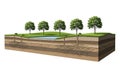 Cross-sectional view of soil layers supporting trees and a small body of water Royalty Free Stock Photo