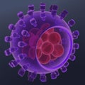 hepatitis virus structure 3d rendered illustration