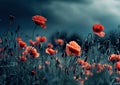 an image shows a field of red poppies