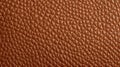 Genuine Leather Grain Texture