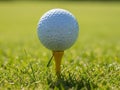 A golf ball teed up on a grassy golf course Royalty Free Stock Photo