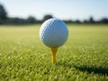 Golf ball perched on a tee on a lush green golf course Royalty Free Stock Photo