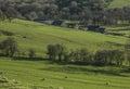 Green view - meadows and a farm, Peak District, the UK. Royalty Free Stock Photo