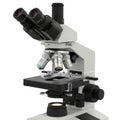 A compound microscope with dual eyepieces and multiple objective lenses Royalty Free Stock Photo