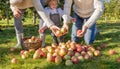 Family Harvesting Apples on Sunny Day