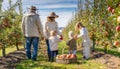 Family Harvesting Apples on Sunny Day