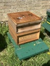 The inner boxes of a WBC beehive. Beekeeping Royalty Free Stock Photo