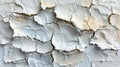 Close-Up View of a Cracked and Peeling White Paint Surface Texture