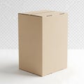 A large, empty cardboard box standing upright on a white surface Royalty Free Stock Photo